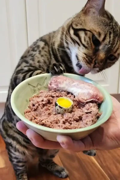 Mulher abraçando gato